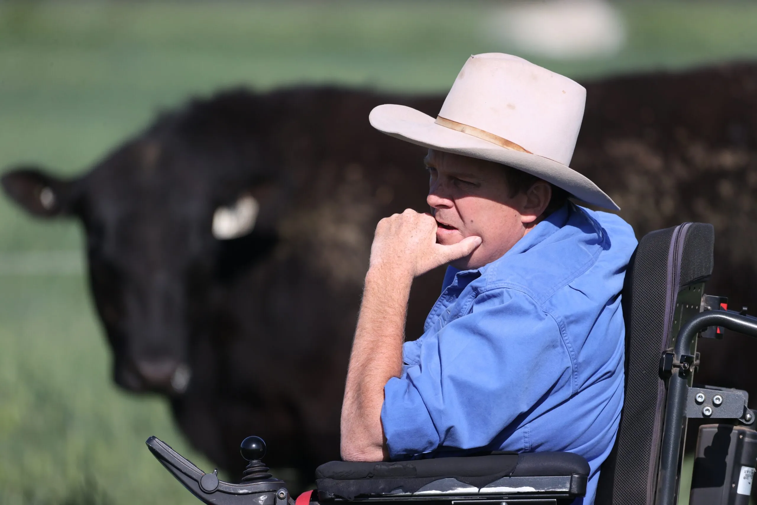 Founder Josh Clift in the paddock with his Angus cattle